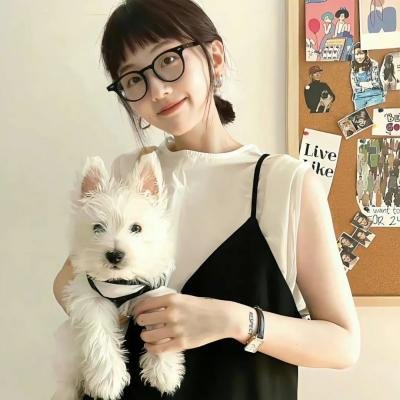 新宝贝智多星：超能99狗